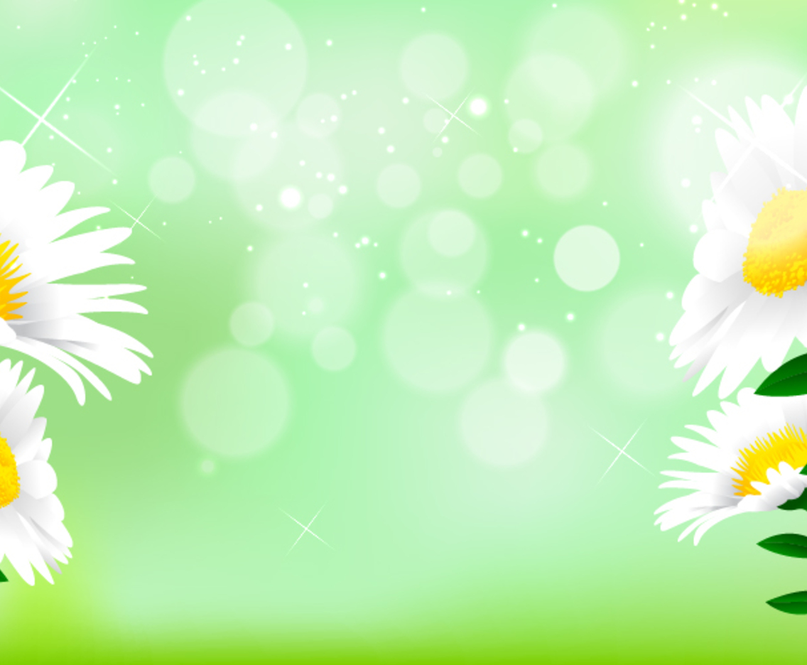 Beautiful Daisy Flower Background