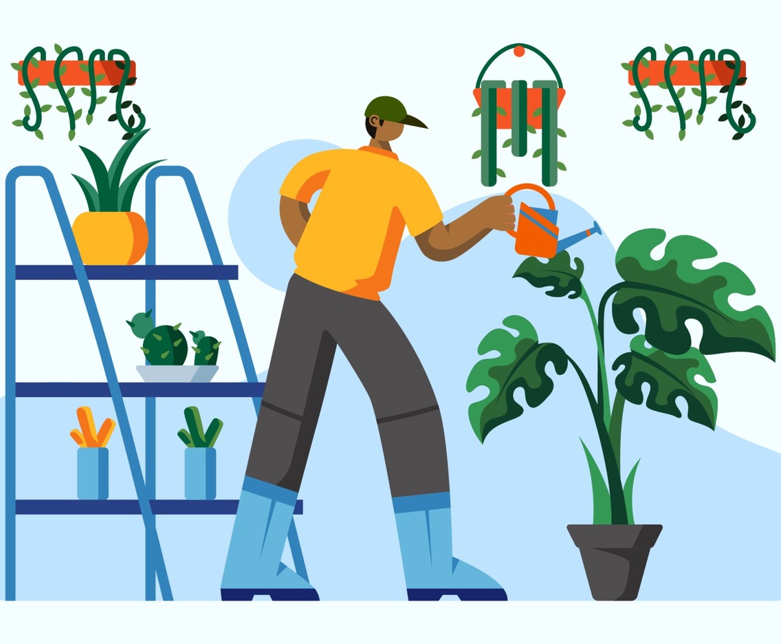 Fun Activity of Watering Plants at Home