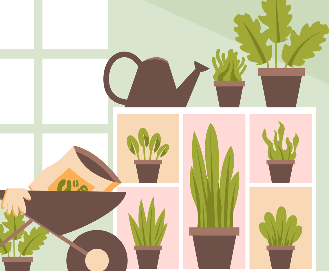 Flat of Home Gardening with A Shelf Background