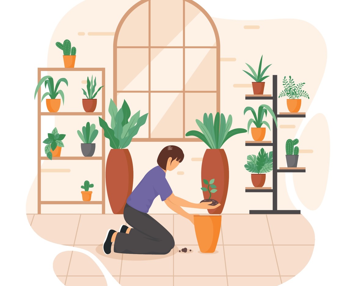 Planting Tree at Home Concept