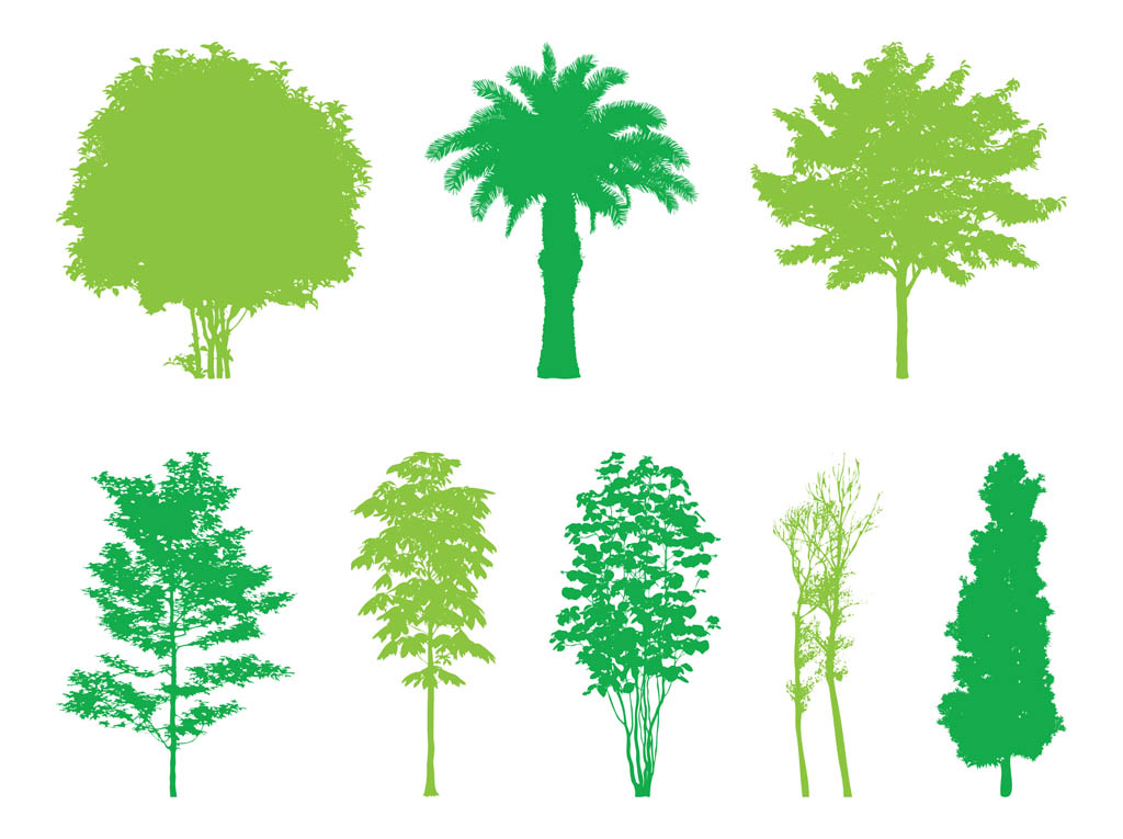 Trees Silhouettes Graphics