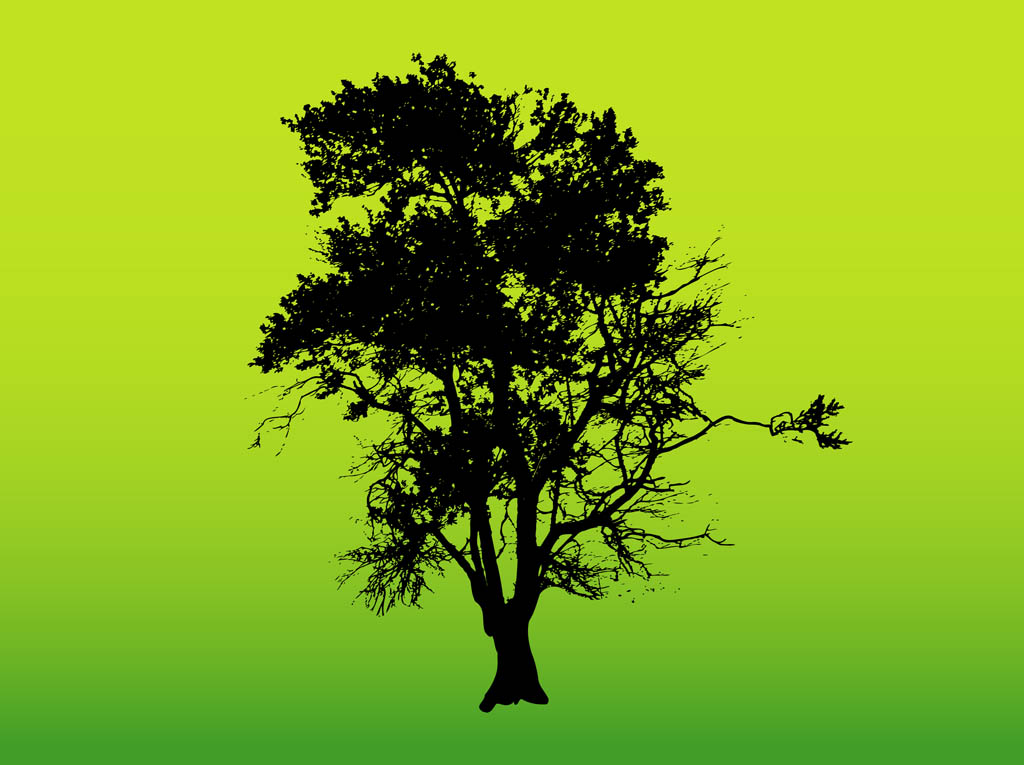 Tree Silhouette Graphics