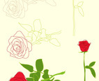 Roses Illustrations