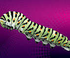 Caterpillar Vector
