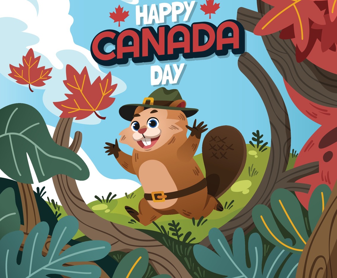 Happy Beaver Celebrating Canada Day While Running in a Grassland