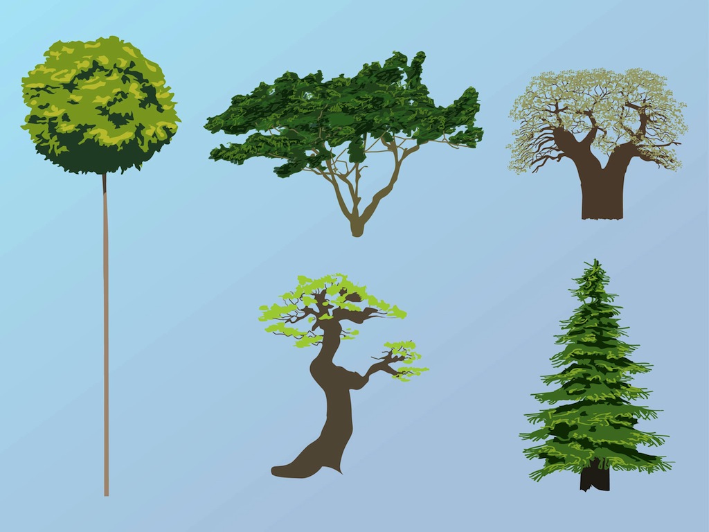 Tree Vectors