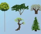 Tree Vectors