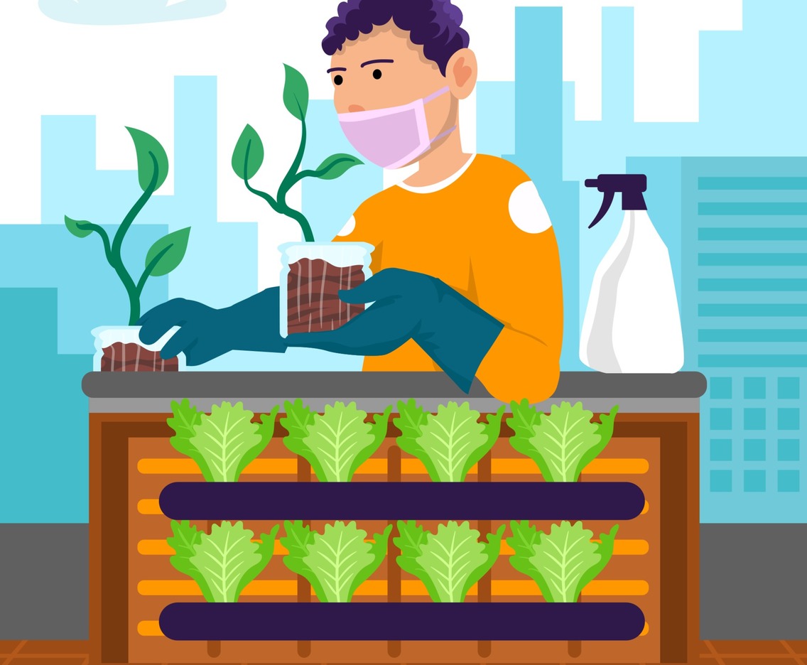 Urban Eco Gardening