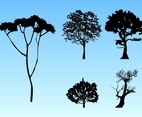 Forest Silhouettes