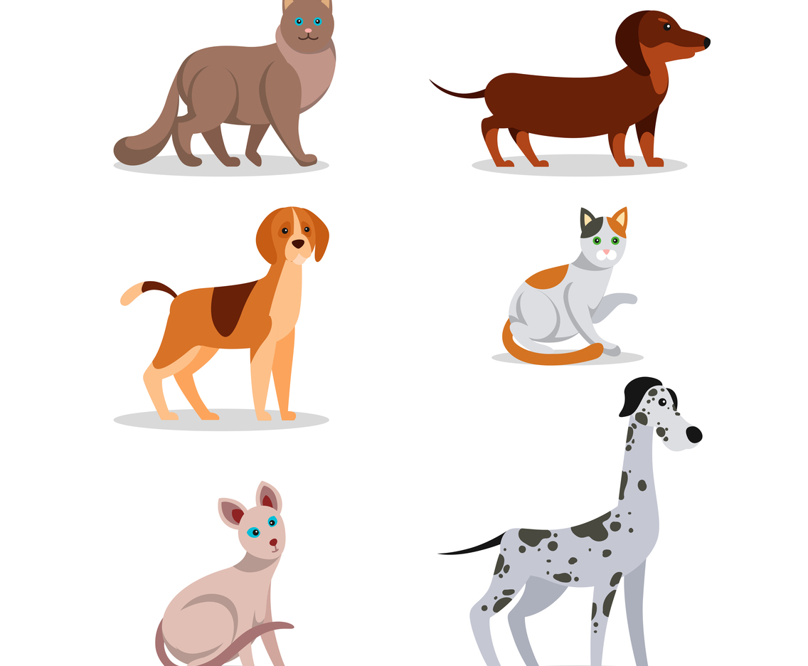 Cats and Dogs Character Design Set