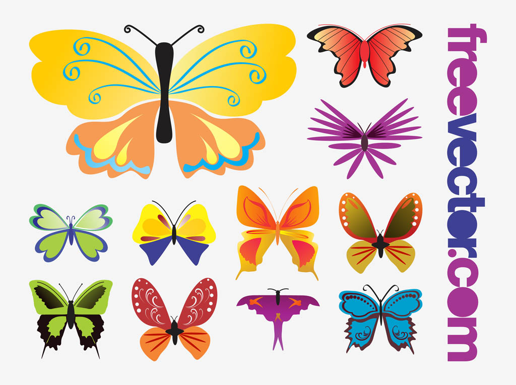 Butterflies Vectors