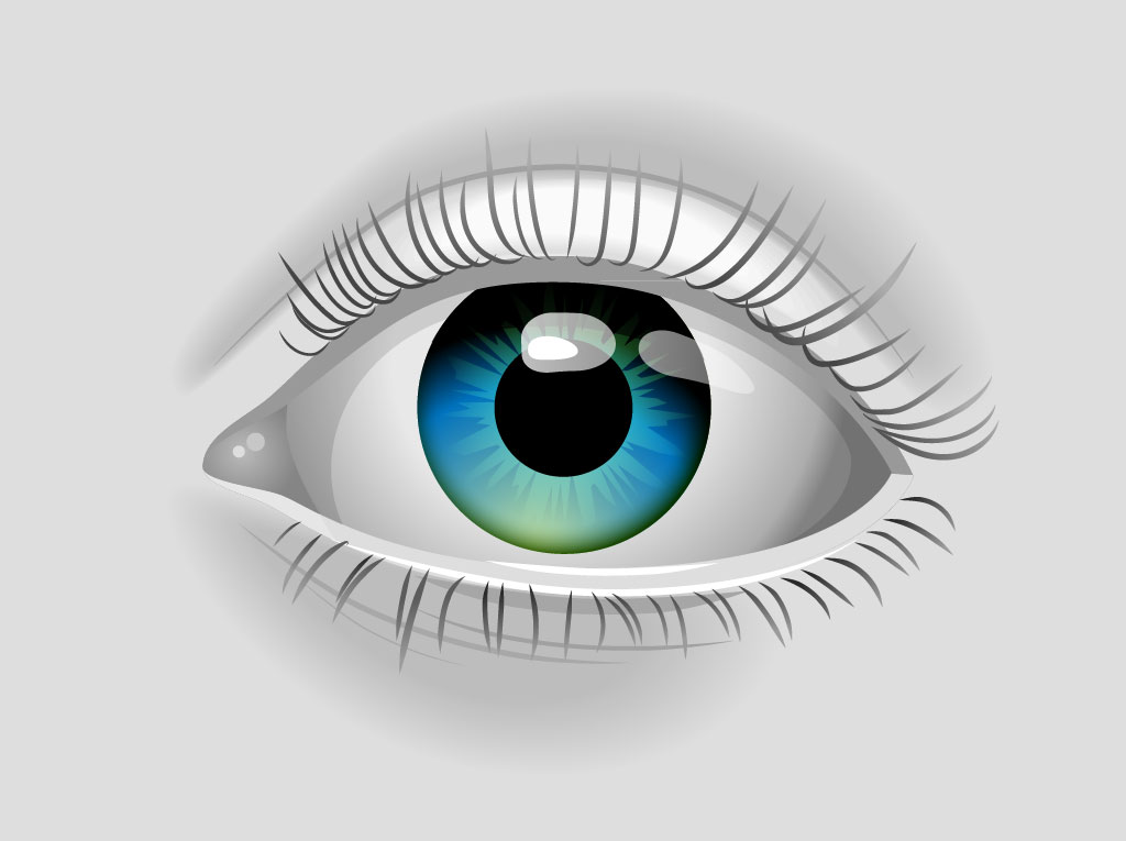 Realistic Vector Eye