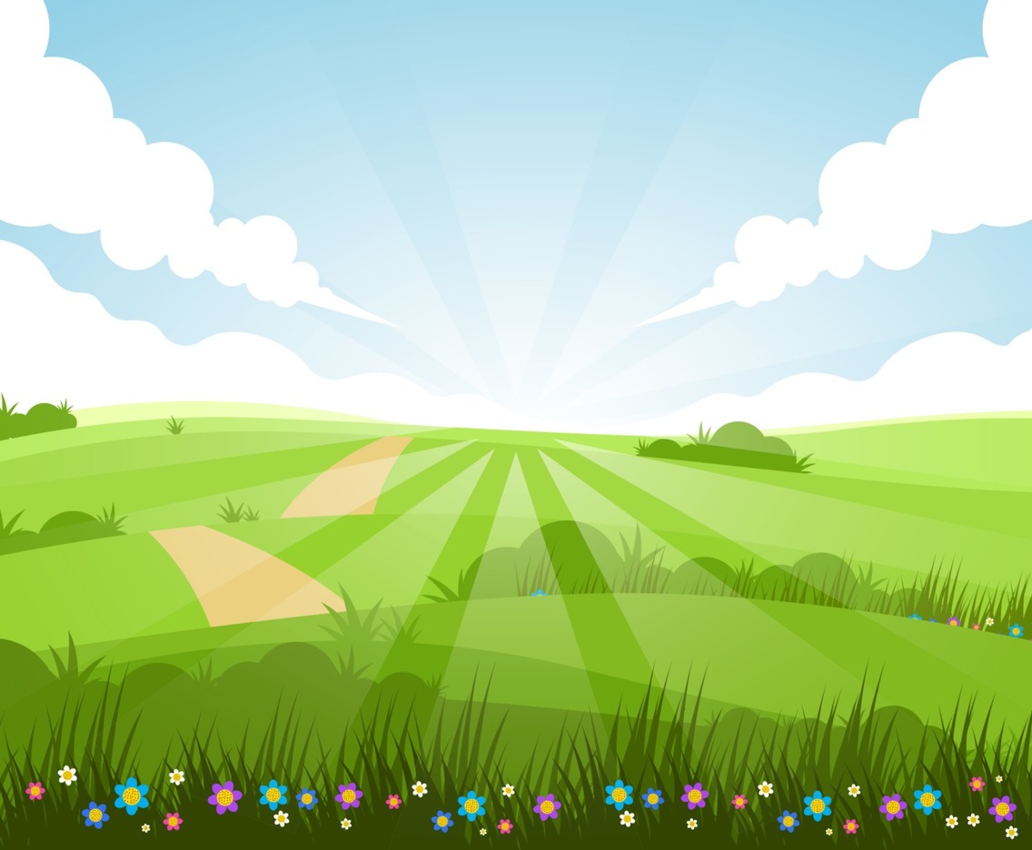 Green Field Summer Scenery Background