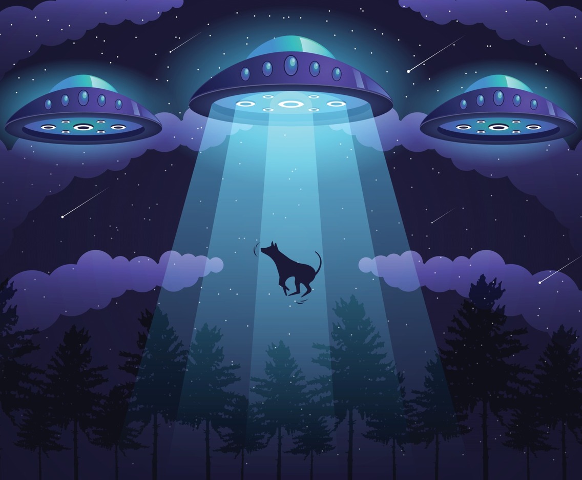 UFO Taking a Dog at the Jungle Scene