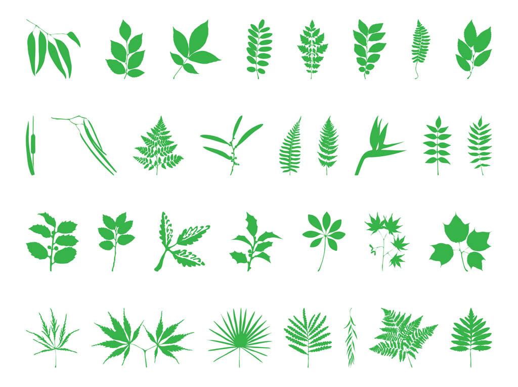 Leaves And Branches Set
