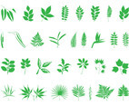 Leaves And Branches Set
