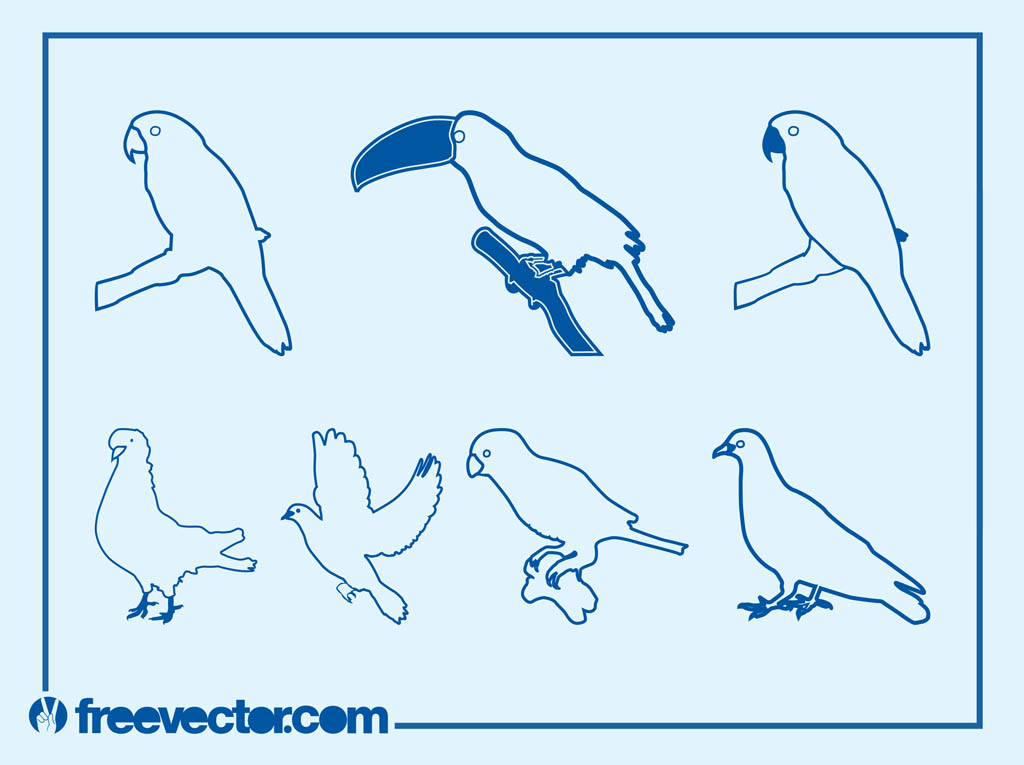 Birds Outlines Graphics