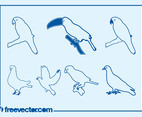 Birds Outlines Graphics