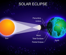 Solar Eclipse Infographic Vector Art & Graphics | freevector.com