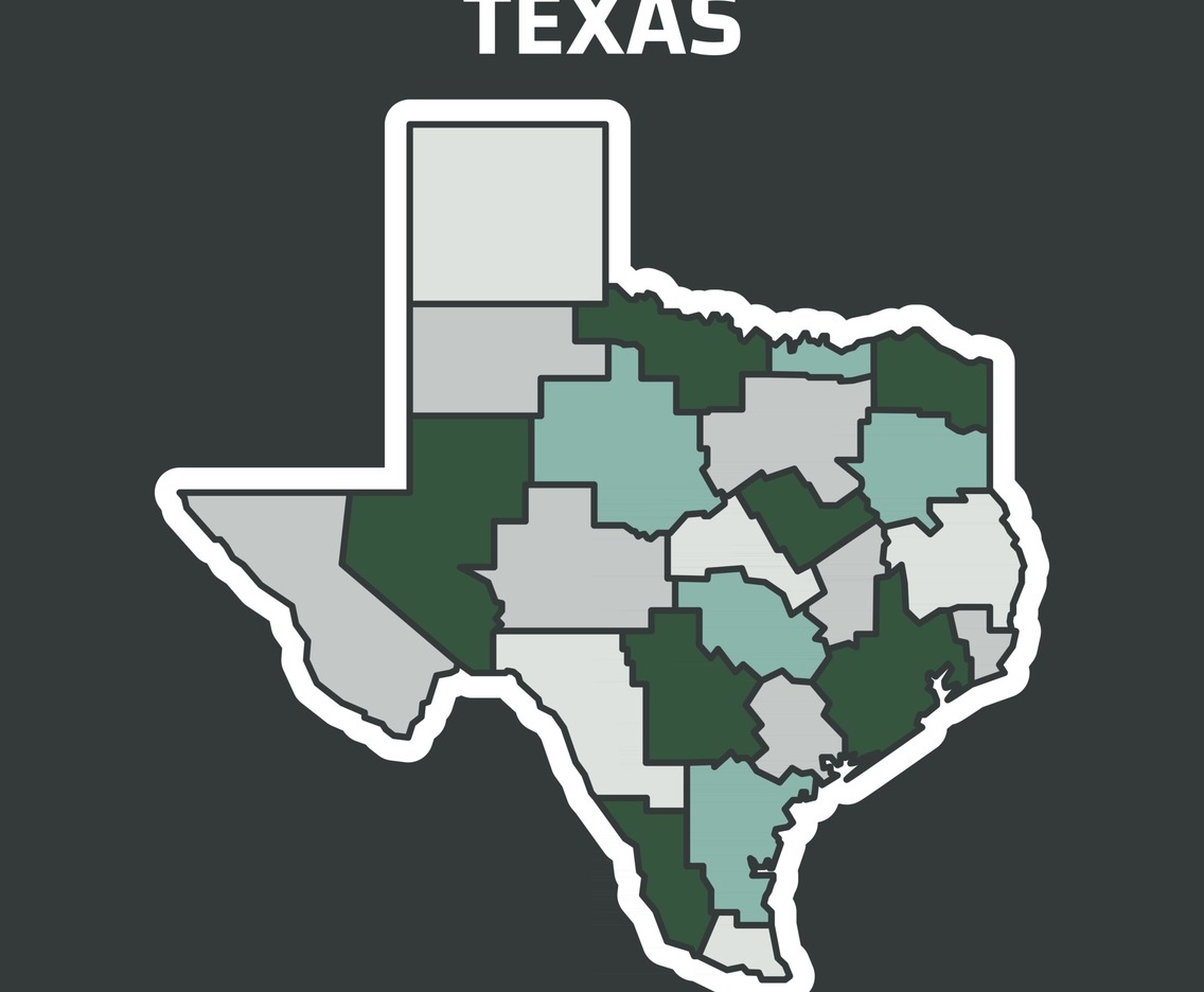 Map of Texas in Different Color
