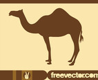 Camel Silhouette Graphics