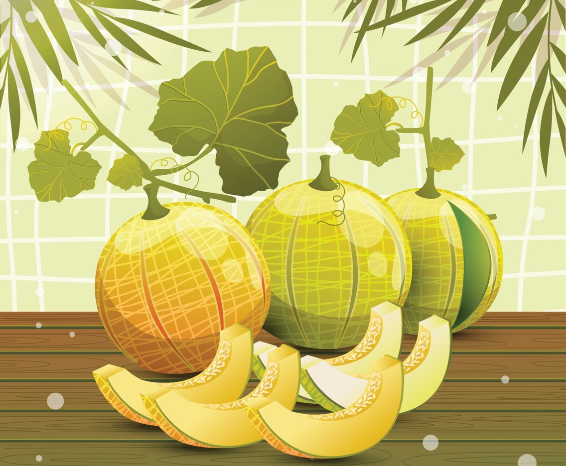 Sliced Fresh Melon on the Table