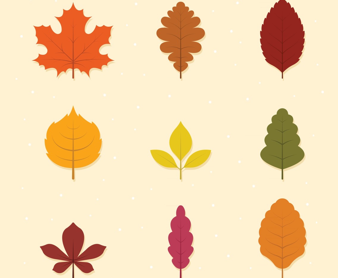 Set of Autumn Leaves Icon