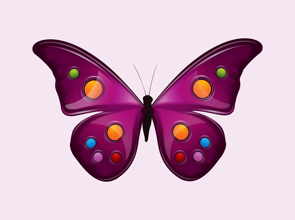 Vector Butterfly Graphics