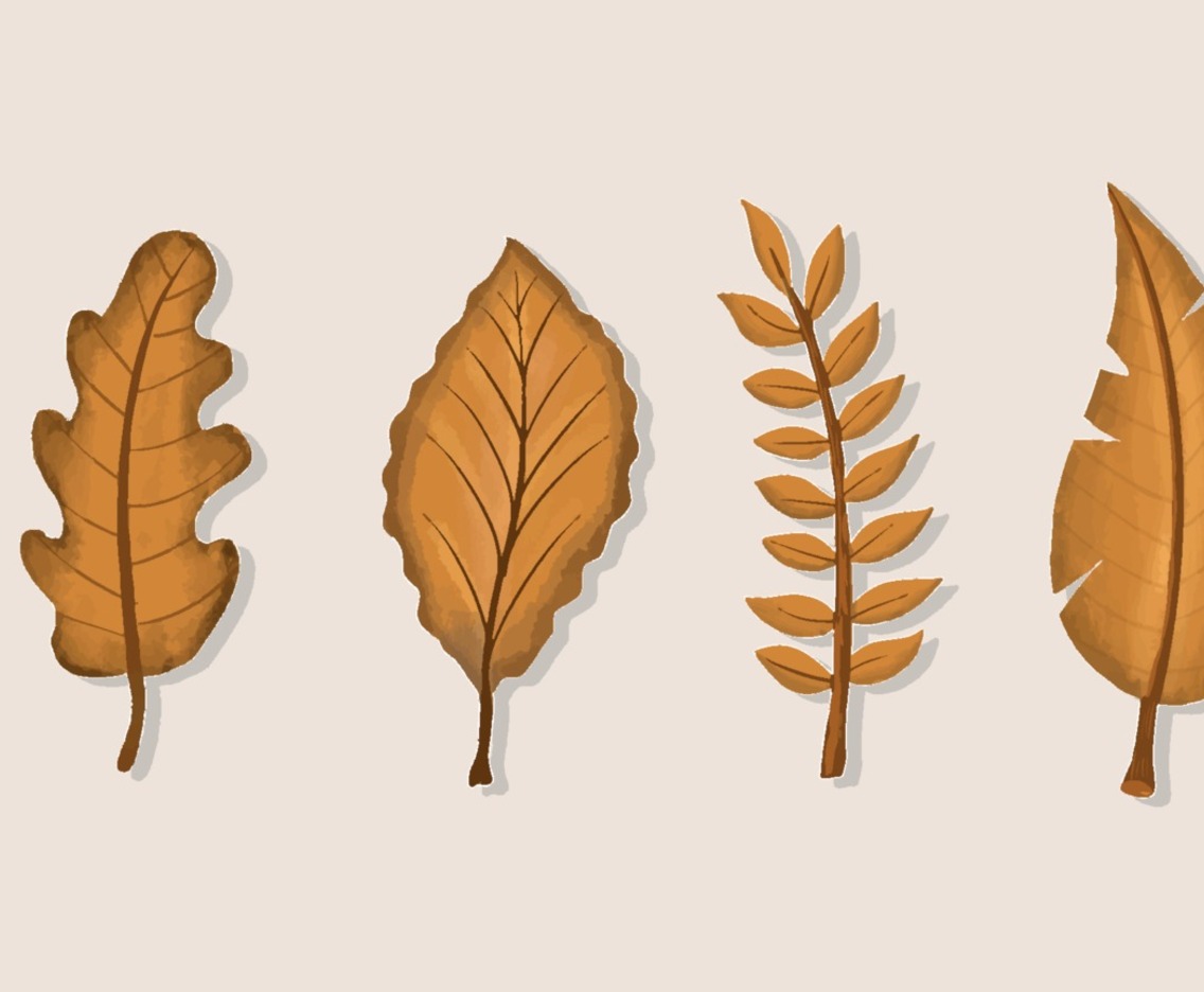 General Leaves Autumn