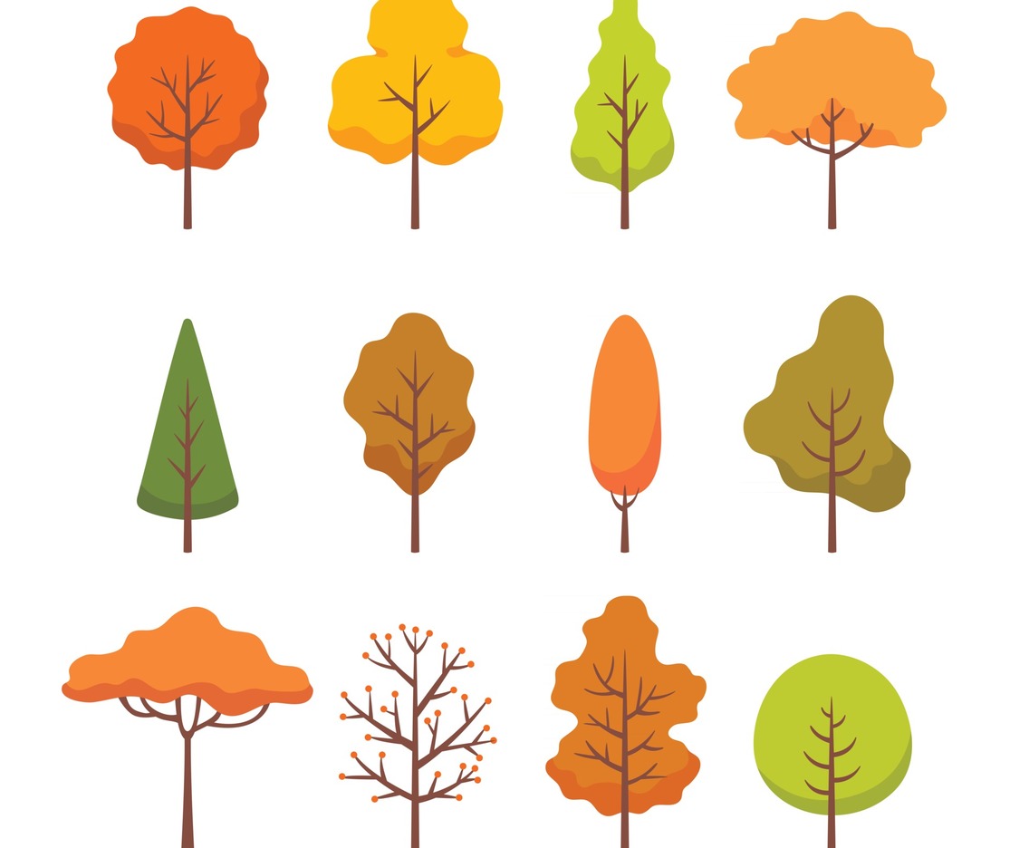 Collection of Different Autumn Tree