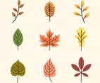 Autumn Leaves Collection