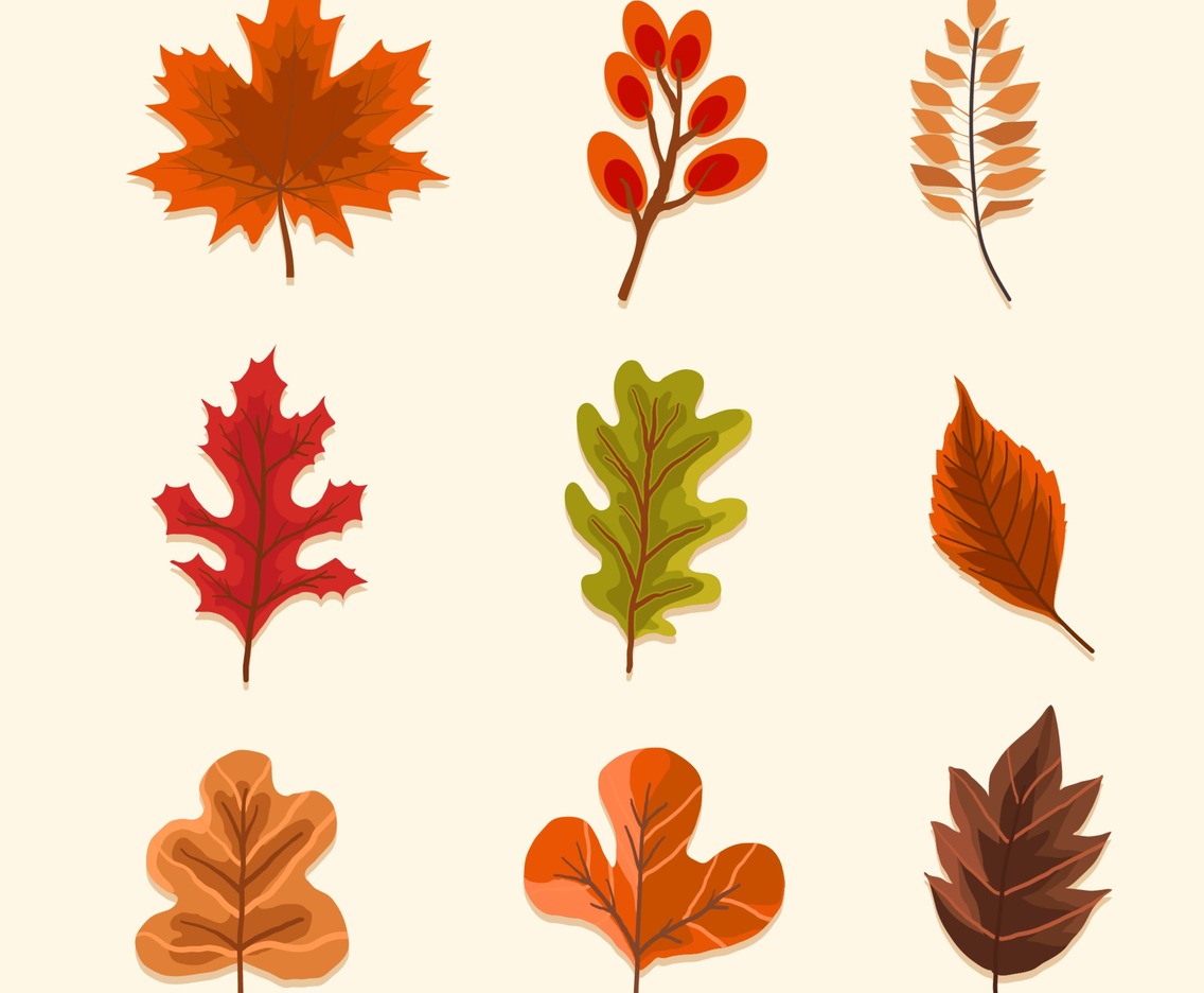 Dry Autumn Leaves Icon Set