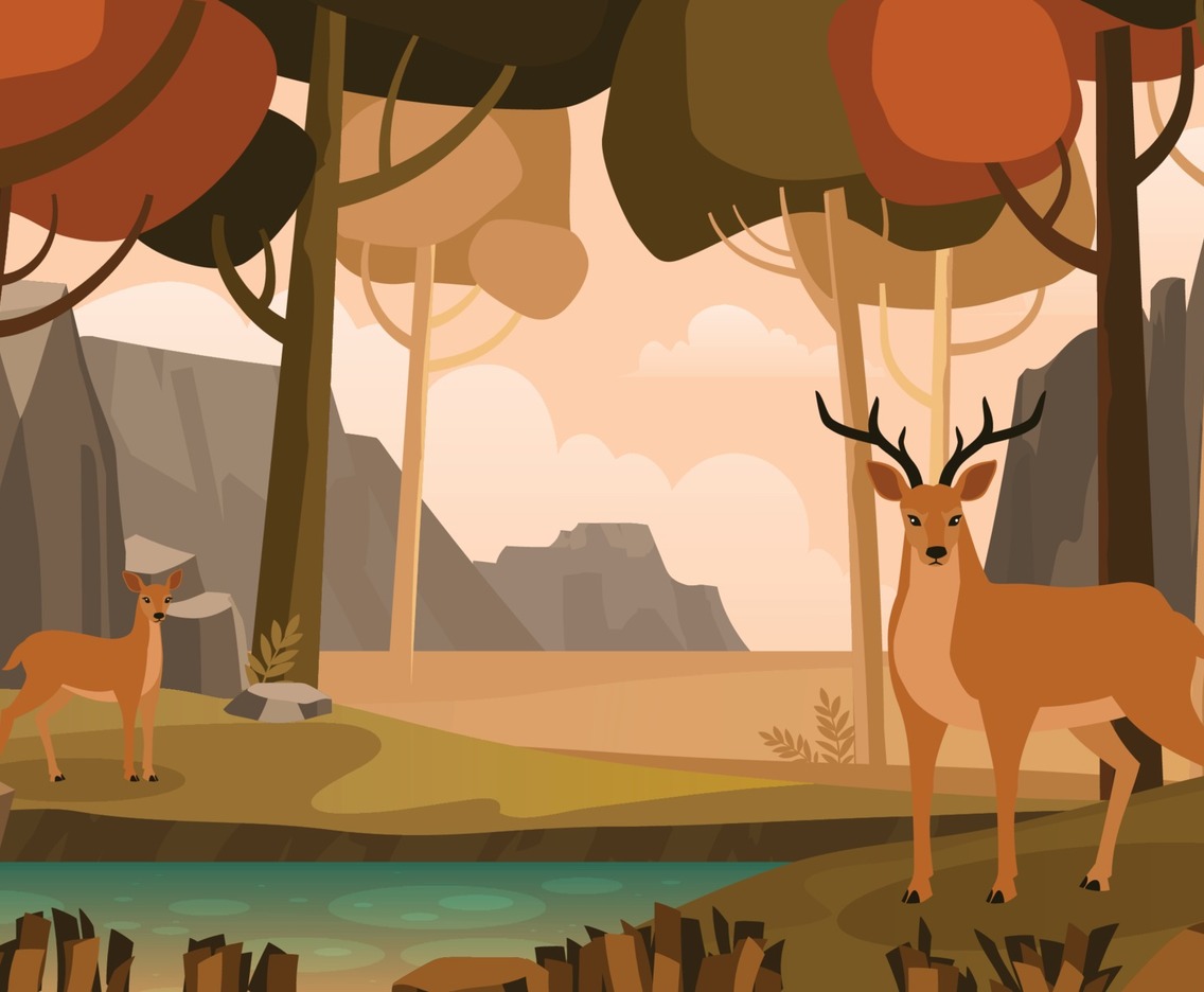 Animal in the Forest in Autumn Season