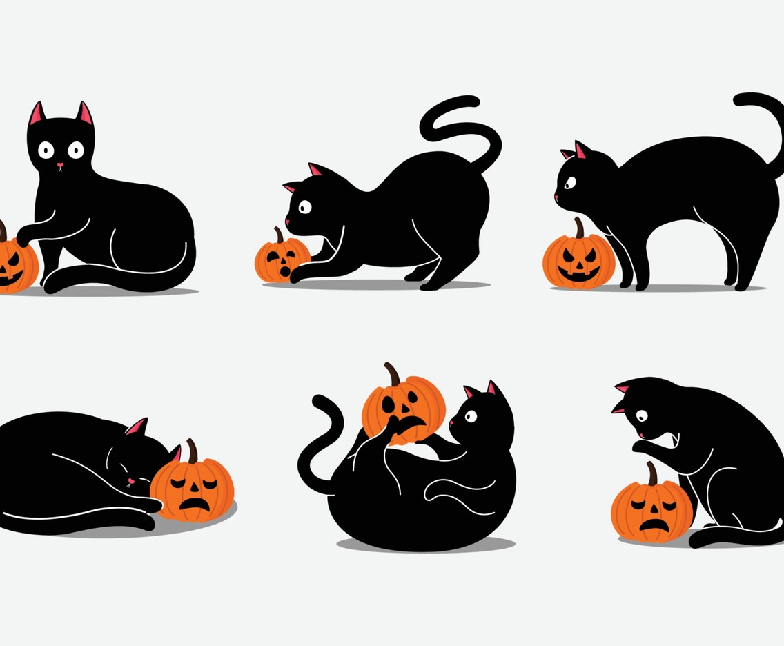 Black Cat Halloween Character