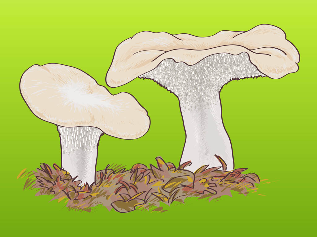 Wild Mushrooms Graphics