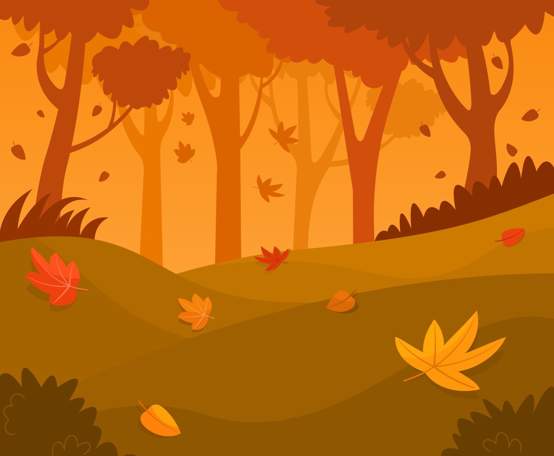 Fall Season in the Forest