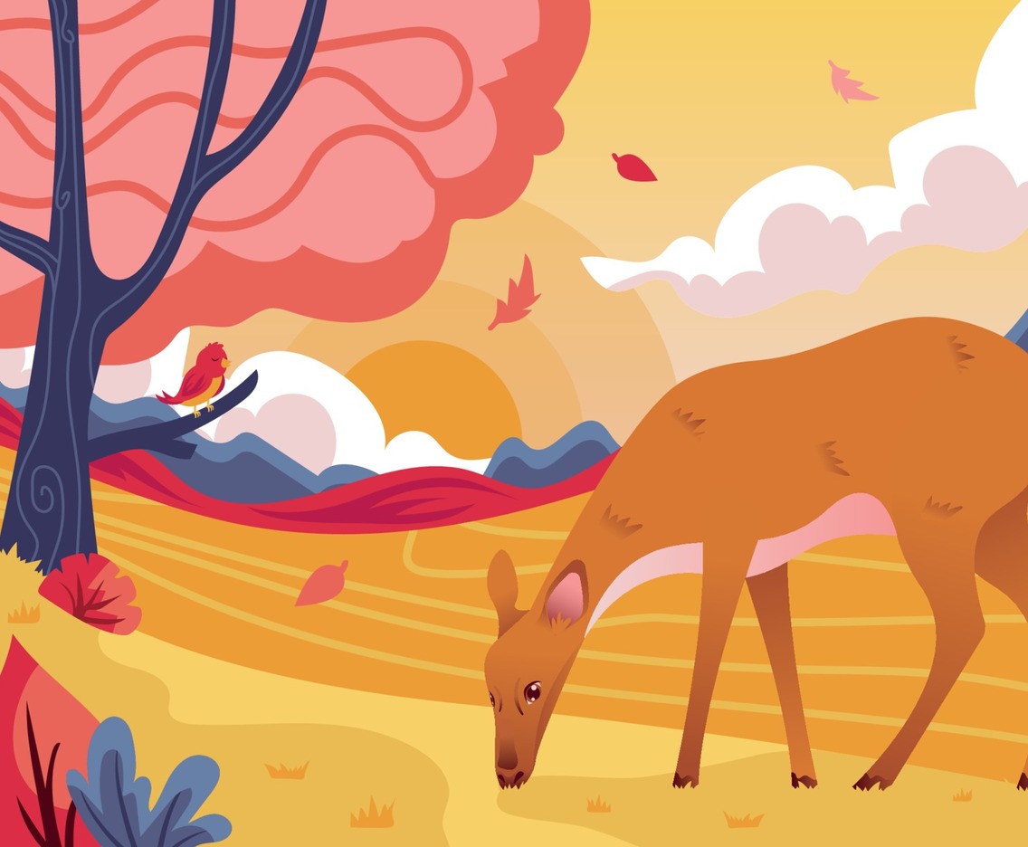 Flora and Fauna Landscape in Autumn