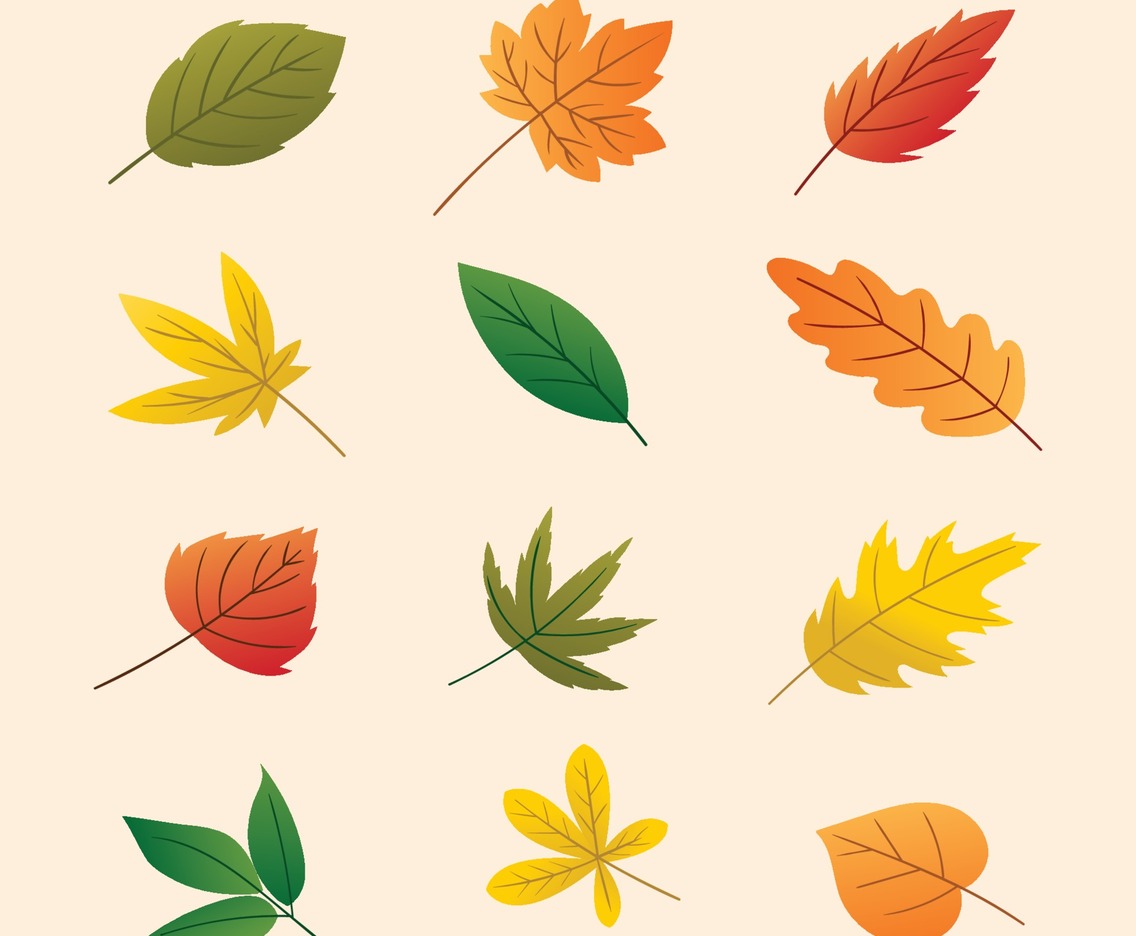 Autumn Leaves Set