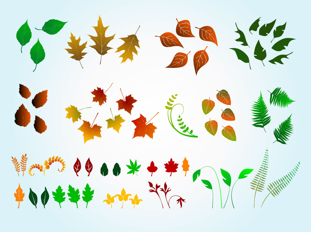 Vector Leaves Graphics