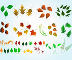 Vector Leaves Graphics