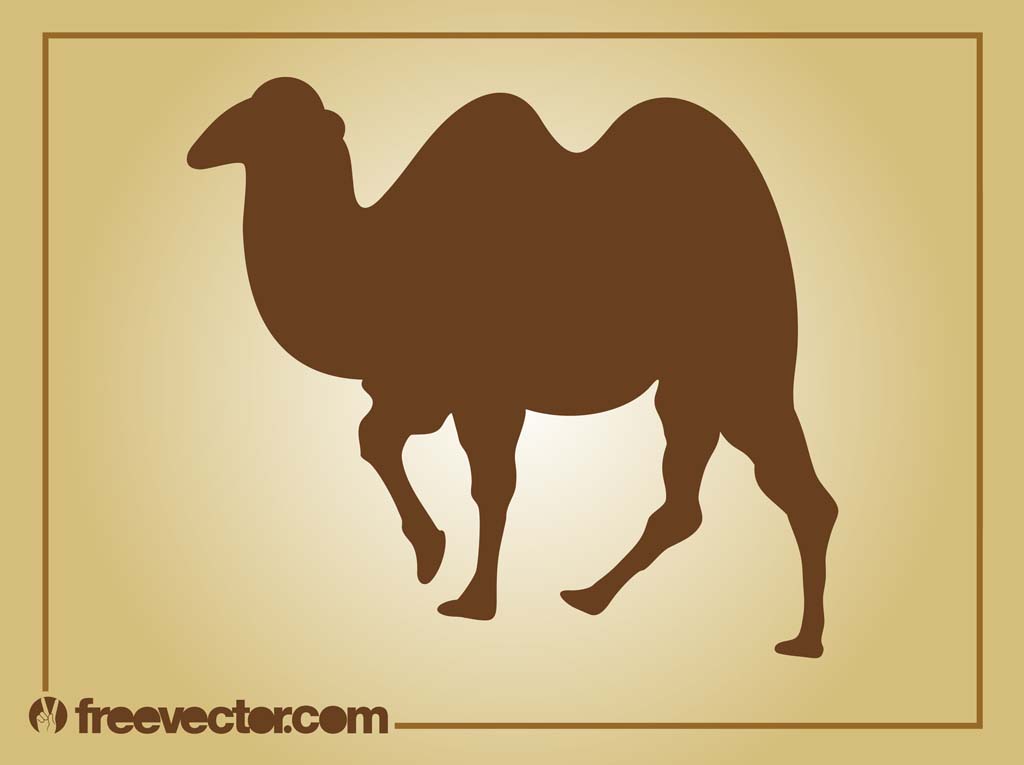 Vector Camel