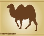 Vector Camel