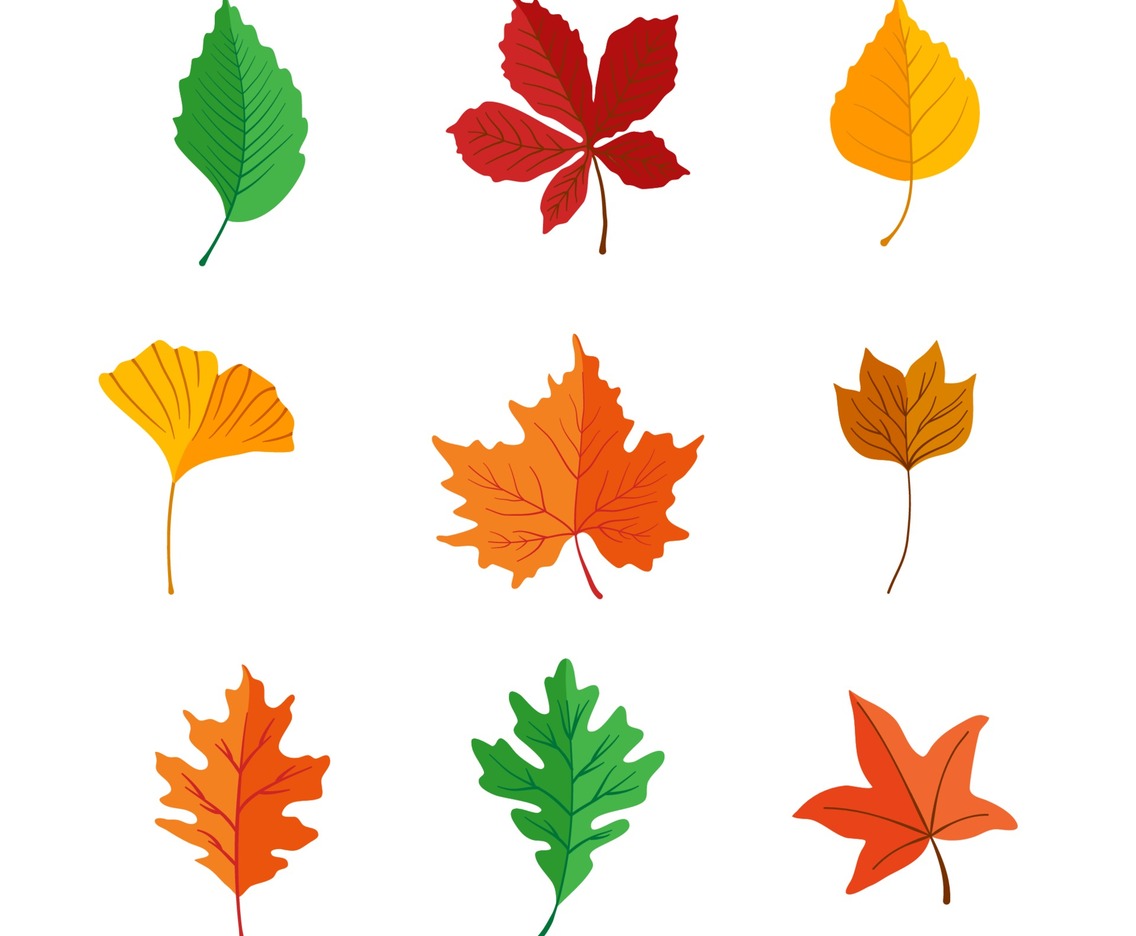 Icon Pack Leaf at Autumn
