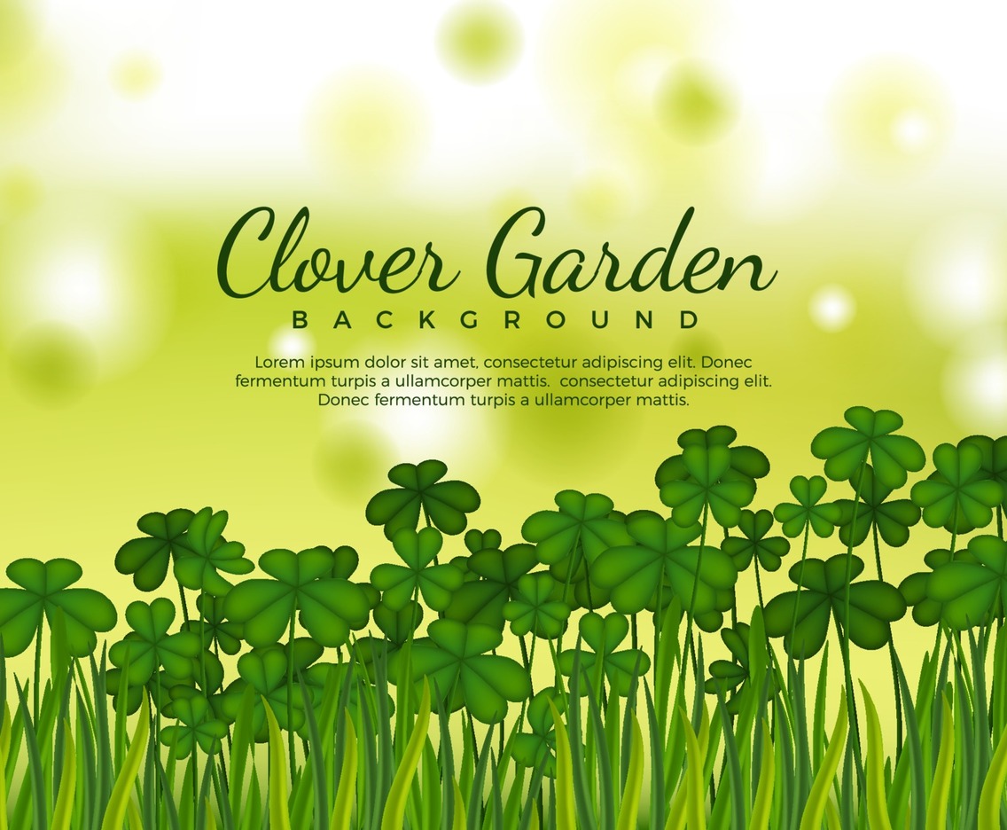 Scenery of Field of Clovers