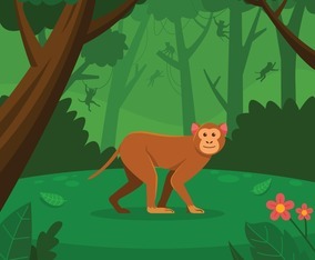 Monkey Walking in the Green  Forest