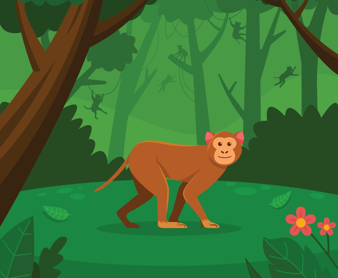 Monkey Walking in the Green  Forest