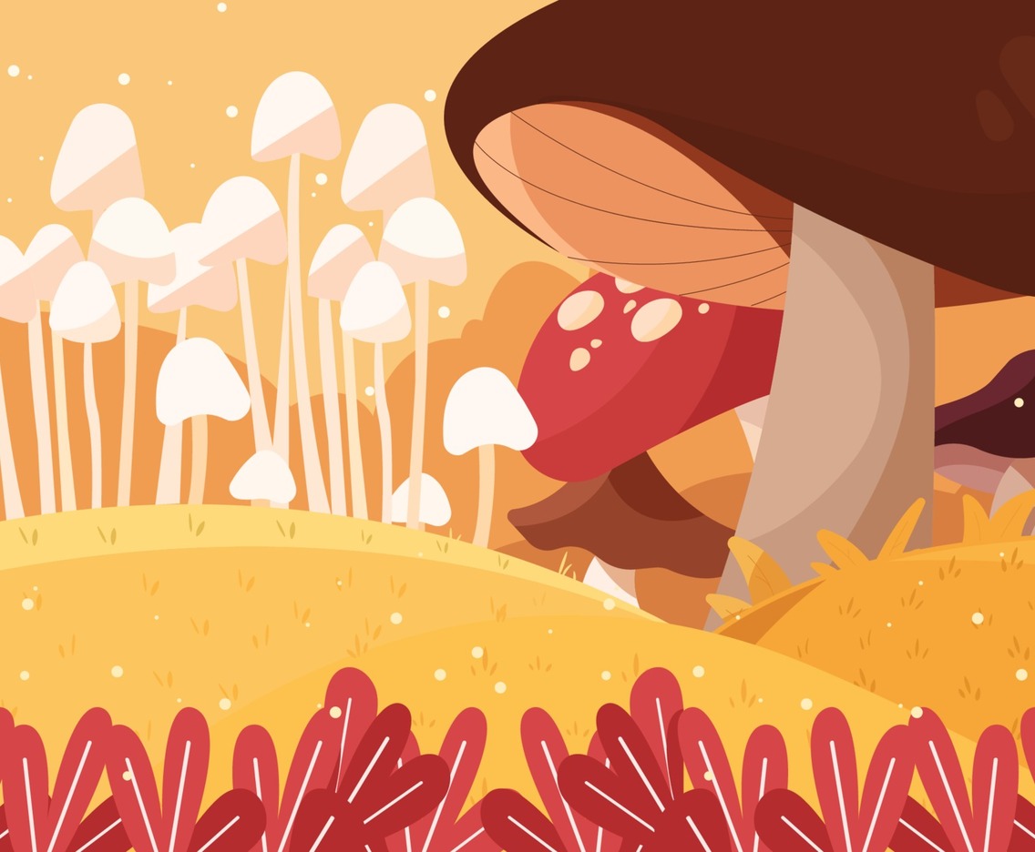 Giant Mushroom in Autumn Mystical Forest Background