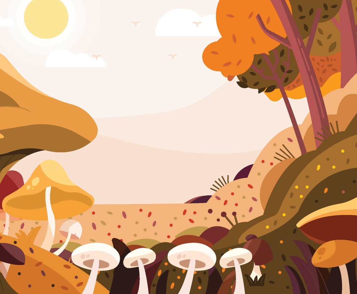 Mushrooms in the Forest Background