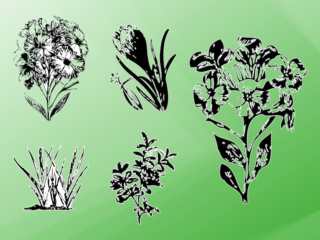 Vector Plants