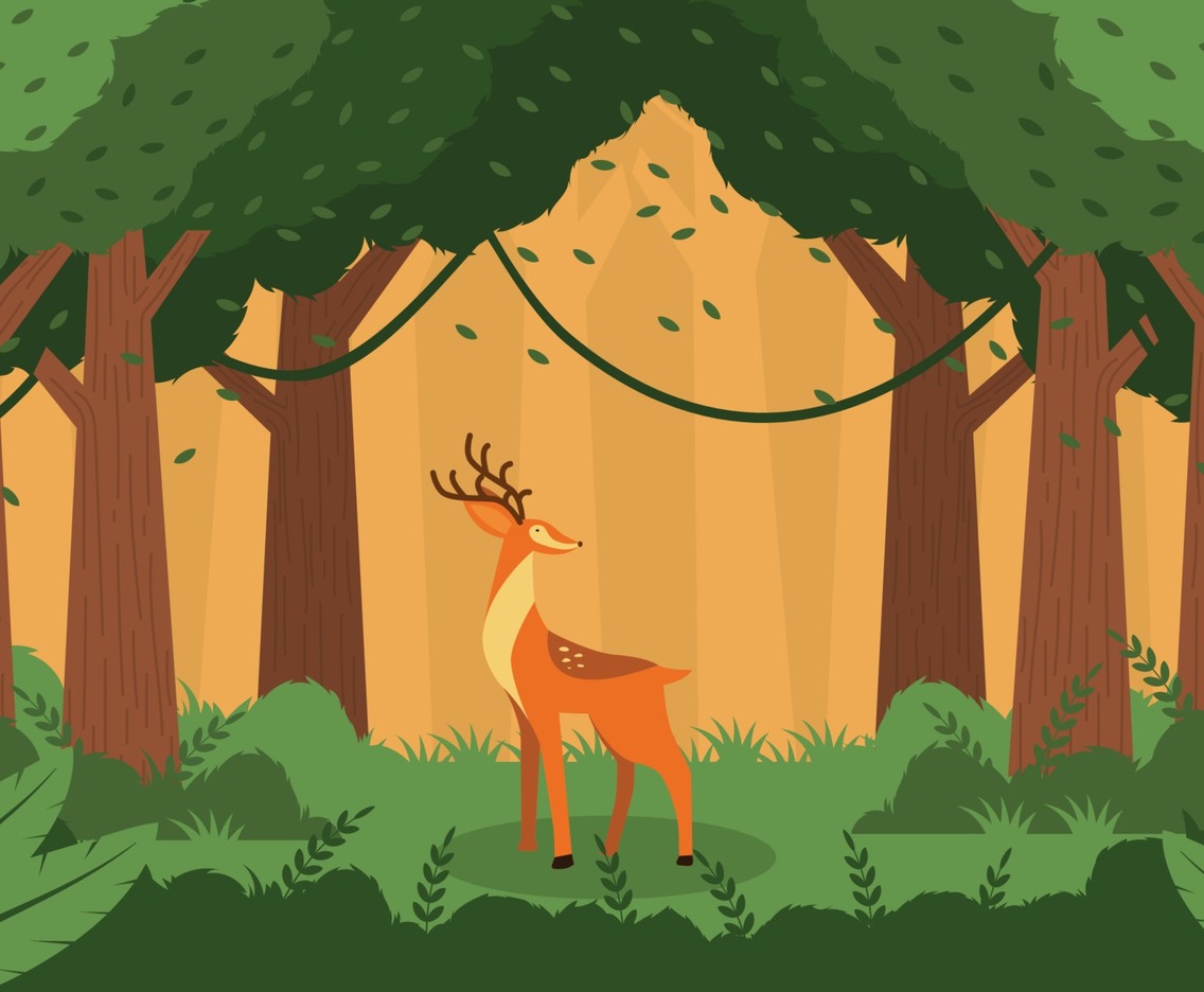 Deer In the Deep Forest Nature